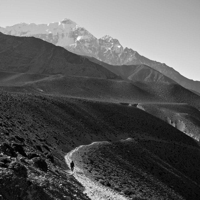 Anastrozole 1 mg 30-count pack