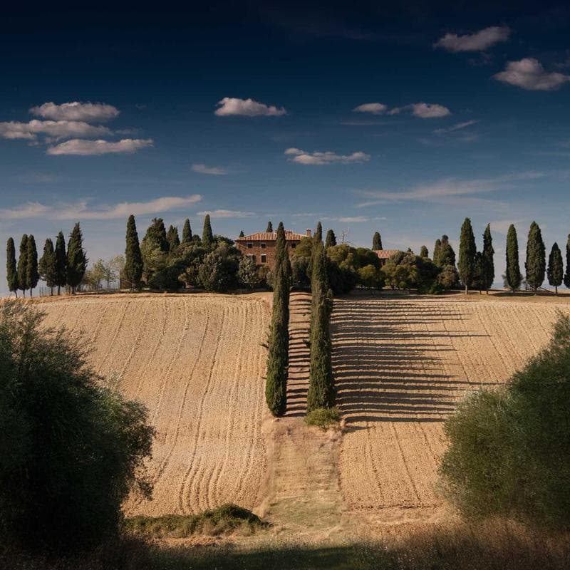 Vitamin D3 120 count bottle