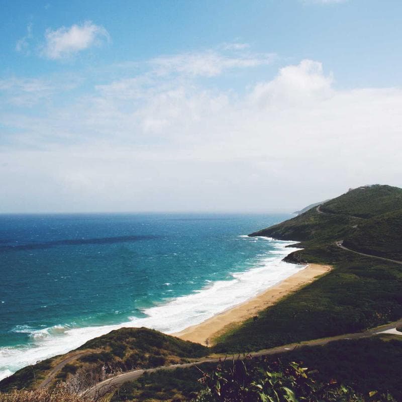 Propionato de Testosterona 100 mg/ml